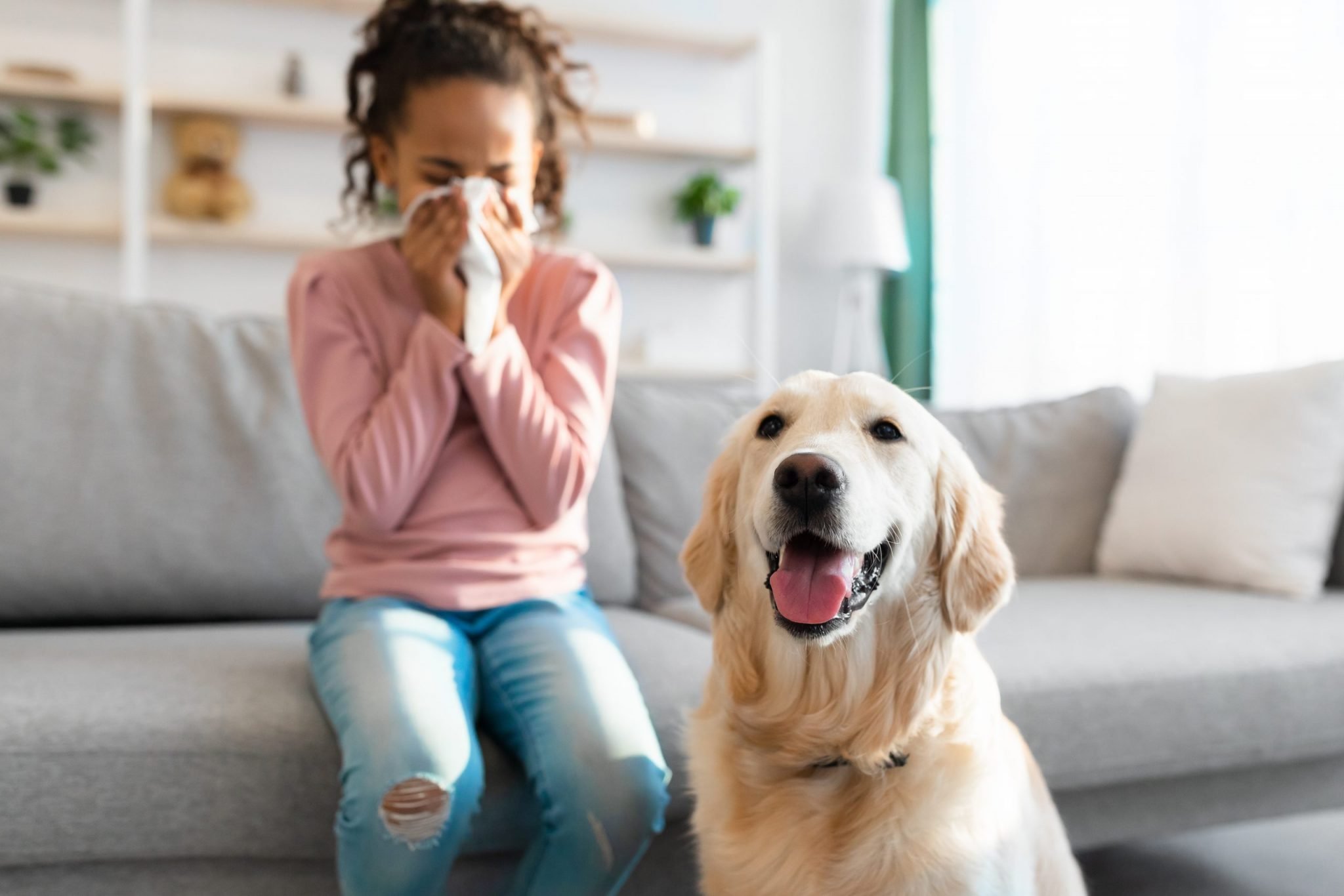 Girl sneezing with tissue and dog sits in front of her