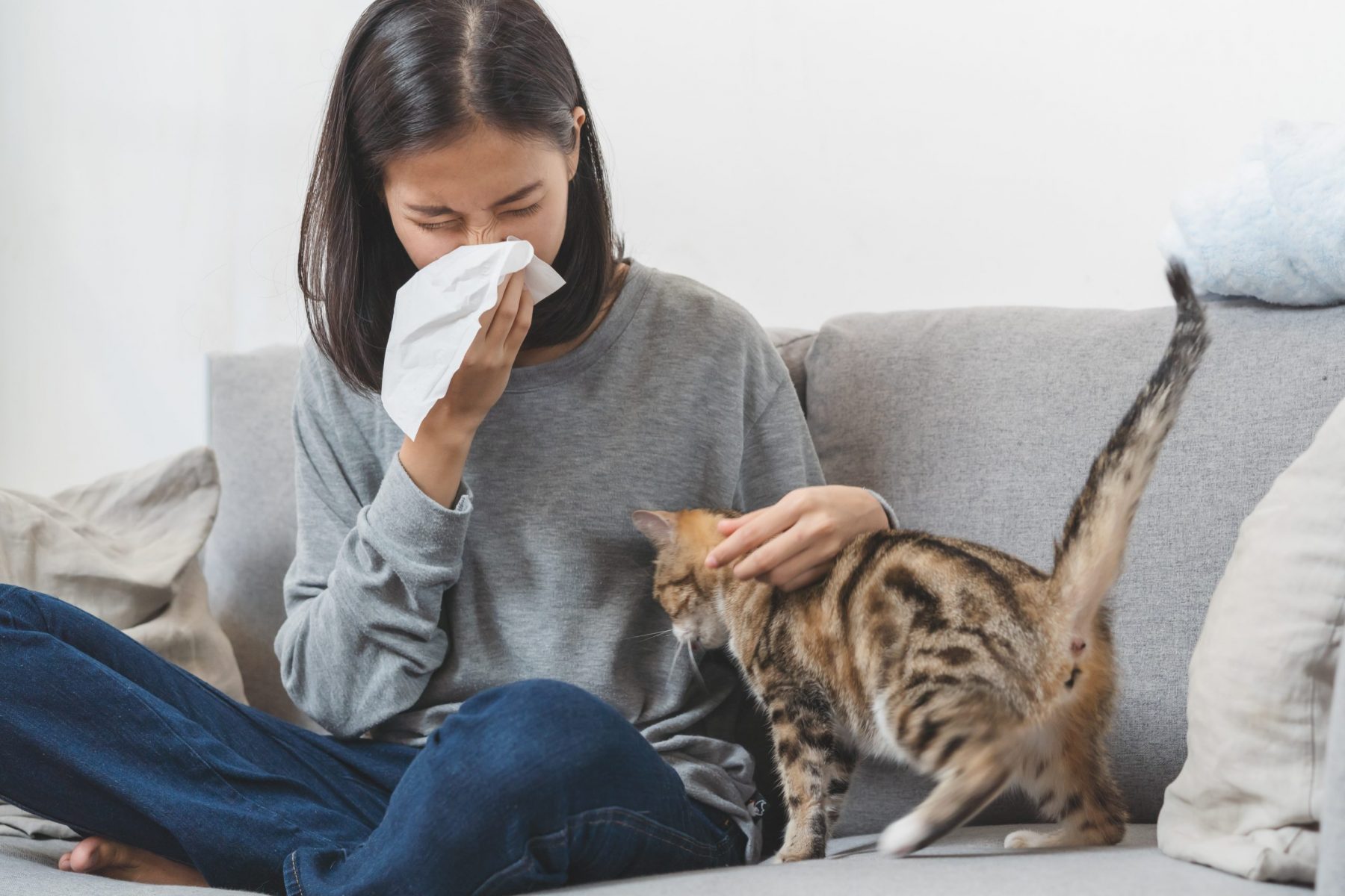 Woman is sneezing from fur allergy on the sofa and playing with her cat.