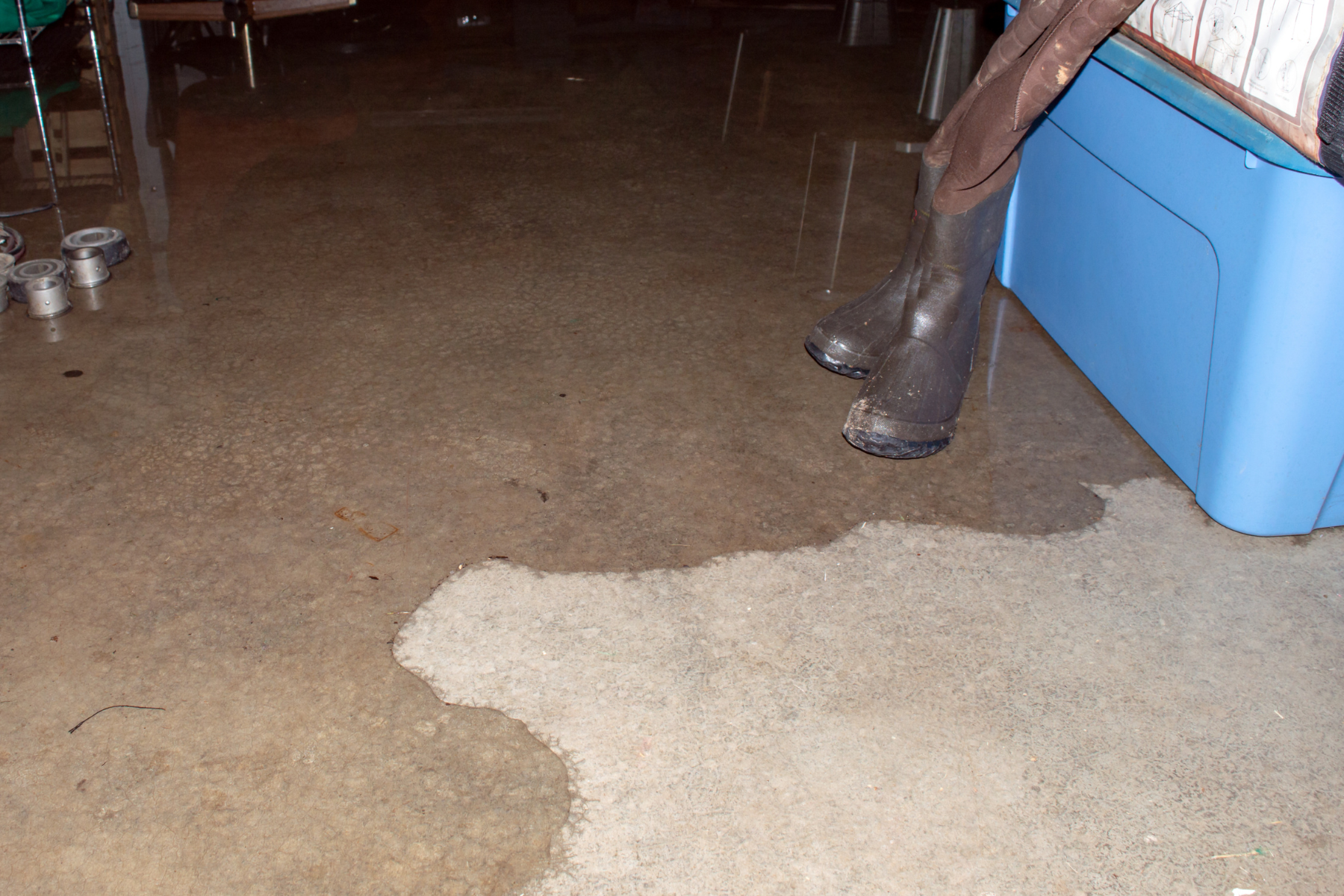 A partially flooded basement with water pooling on the floor, requiring professional water removal services.