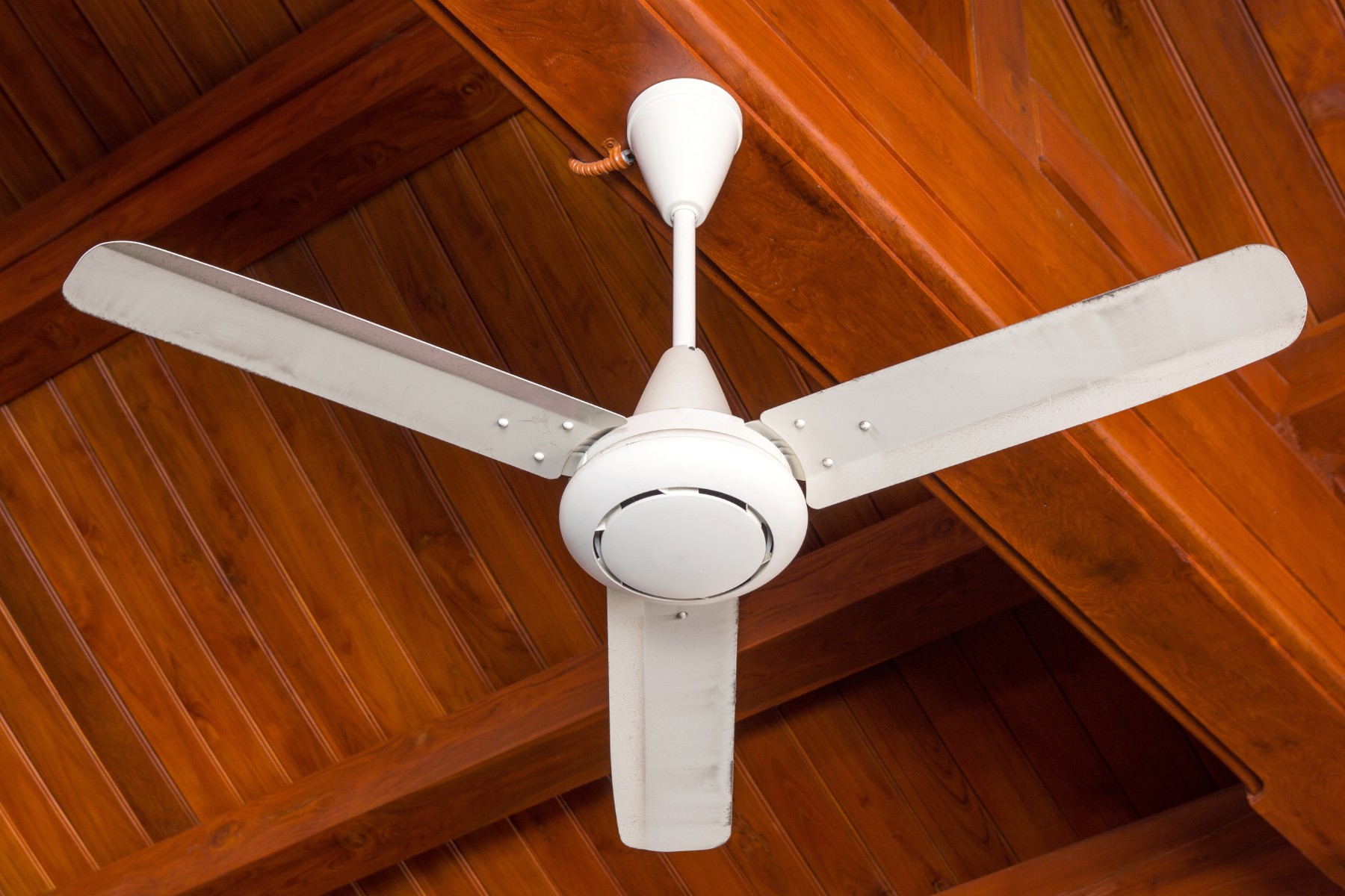 White fan on wooden ceiling.